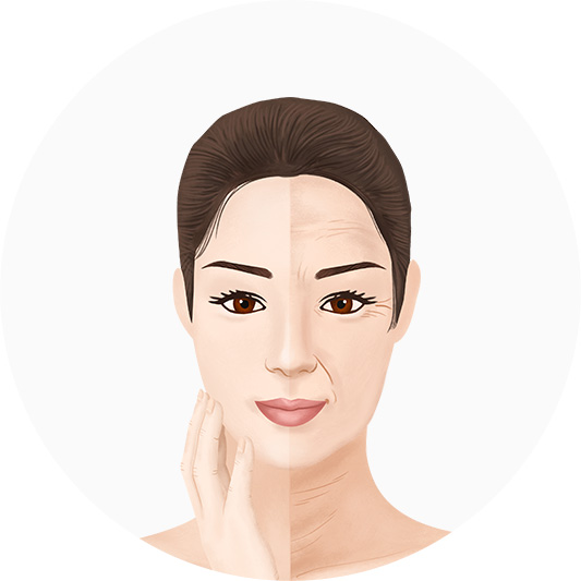 노화의 따른 피부 차이