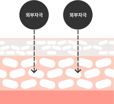 외부자극이 피부 속으로 침투함